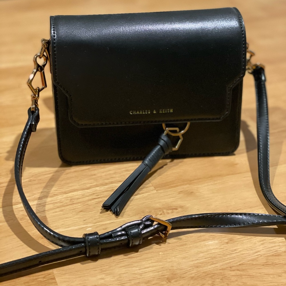 Charles & Keith mini acordian crossbody bag